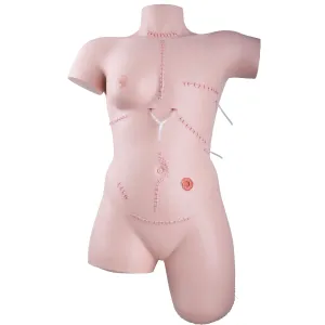 3B Scientific 1020592 Trainer for Wound Care and Bandaging Techniques, Grade: 1 to 12