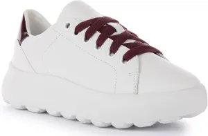 Geox Girl Spherica Trainer Shoe