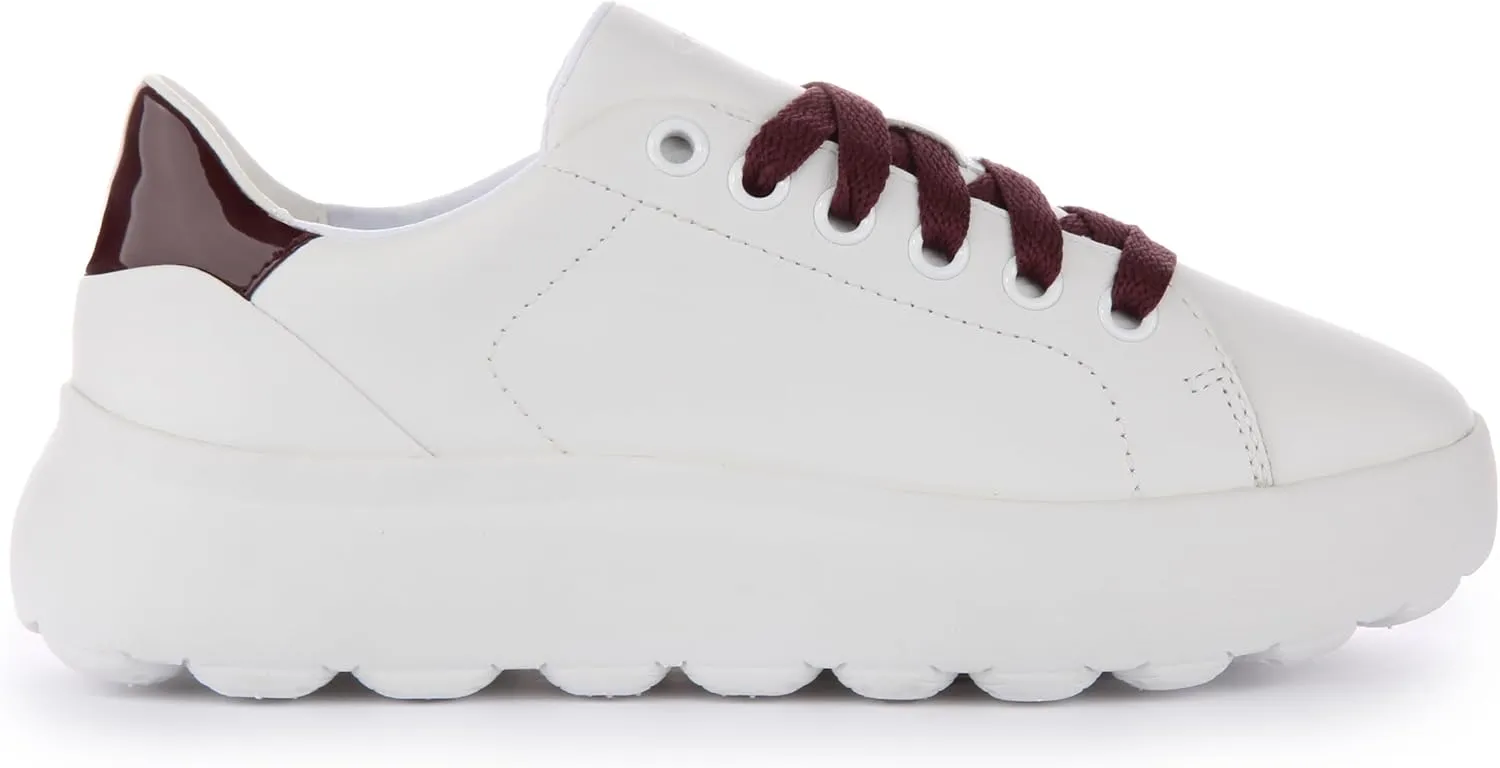 Geox Girl Spherica Trainer Shoe