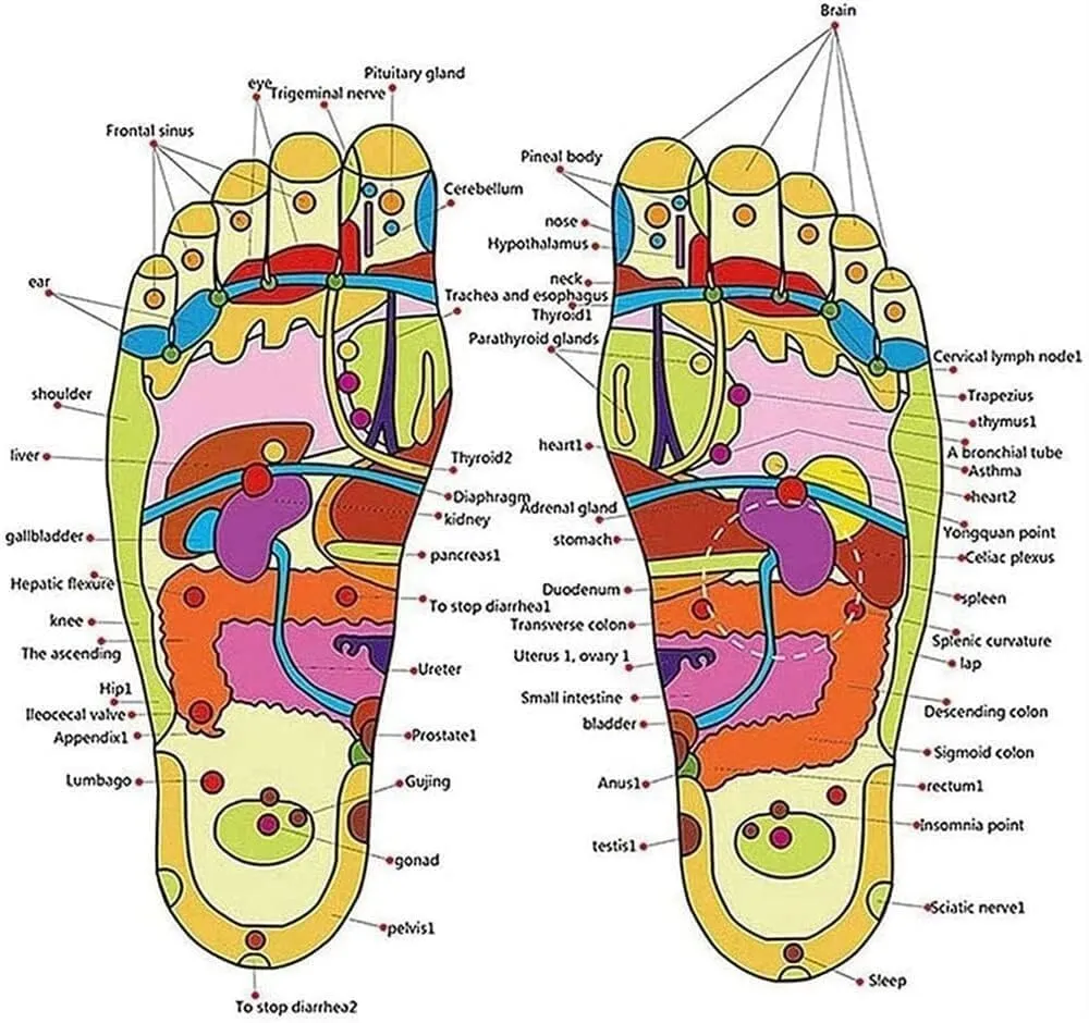 Men age Slippers For Plantar Fasciitis, Acupressure age ls Foot Reflexology age Slippers Non-Slip Home Shower age Shoes Arthritis Neuropathy Pain Relief (Color : Red, Size : 7.