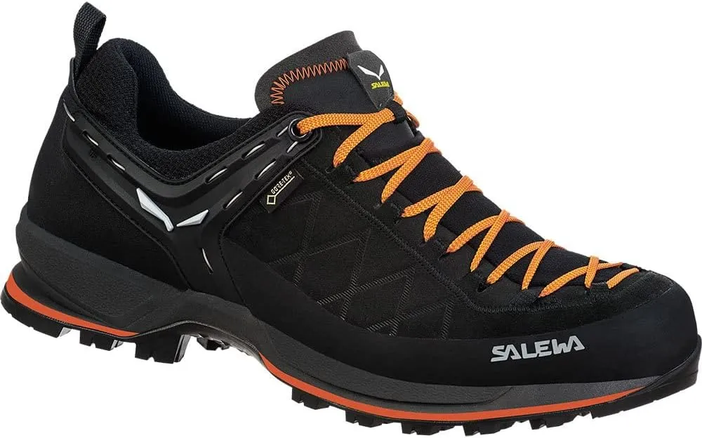 Salewa Men's Mountain MS MTN Trainer 2 GTX