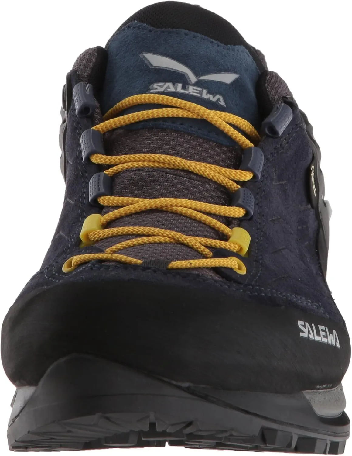 Salewa Men's Mountain Trainer Gtx Hiking Shoe
