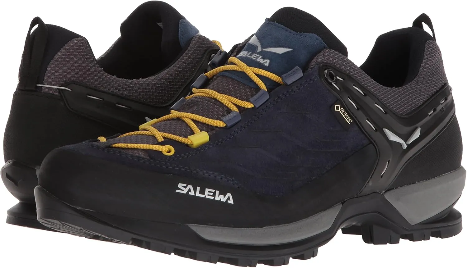 Salewa Men's Mountain Trainer Gtx Hiking Shoe