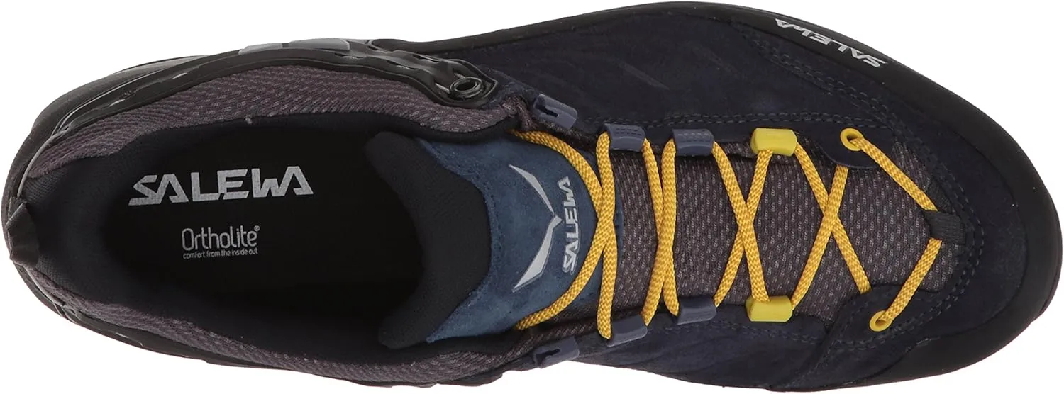 Salewa Men's Mountain Trainer Gtx Hiking Shoe